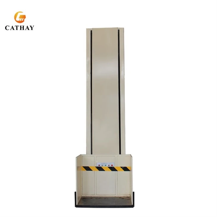 Disabled Passenger Lift